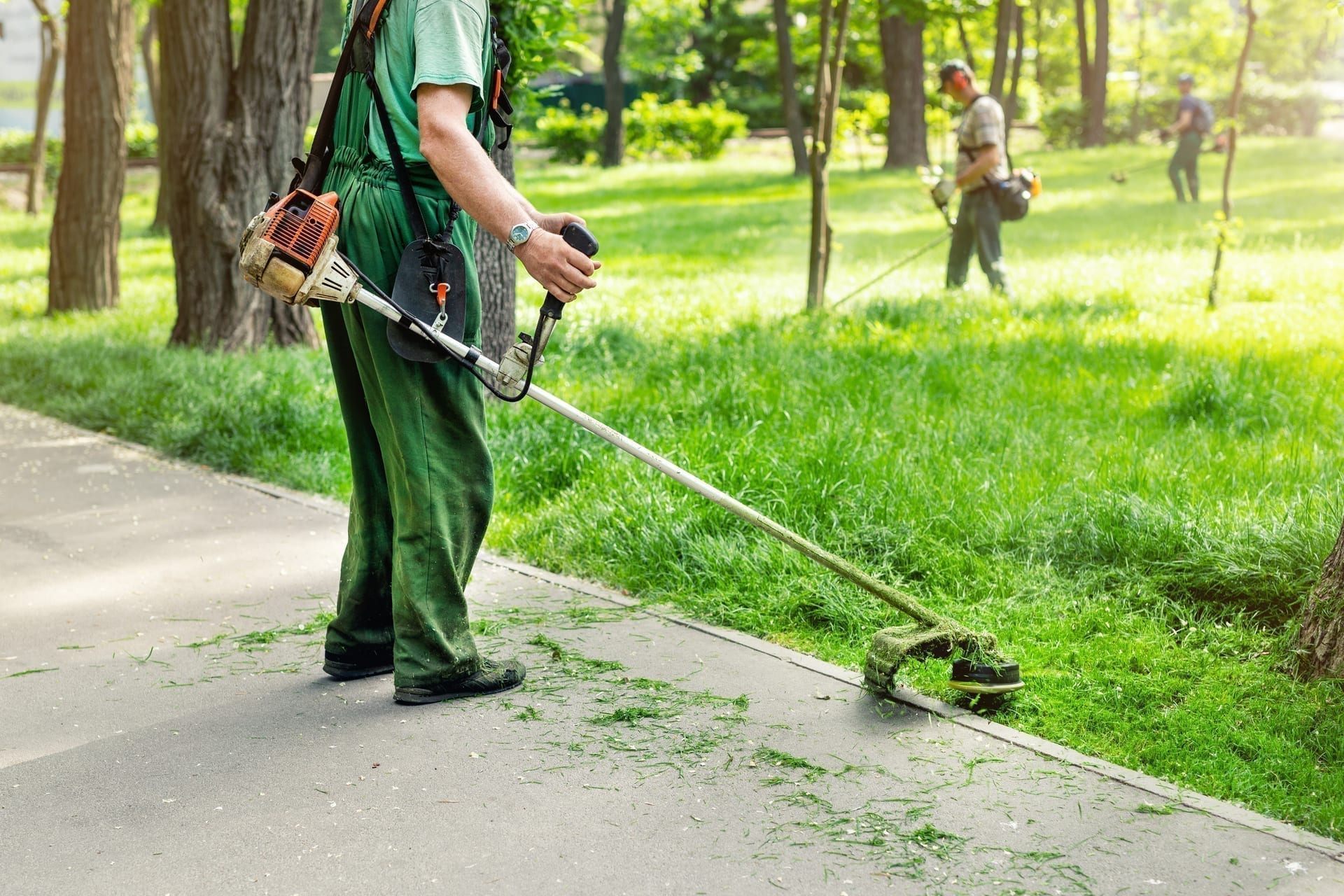 Landscaping Reporting Without a Separate Reporting Tool